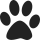 icon 0