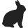 icon 0